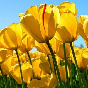 Meet your Posher, Kellie